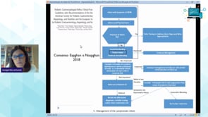 Conteudo Premium Sopepe Virtual 3