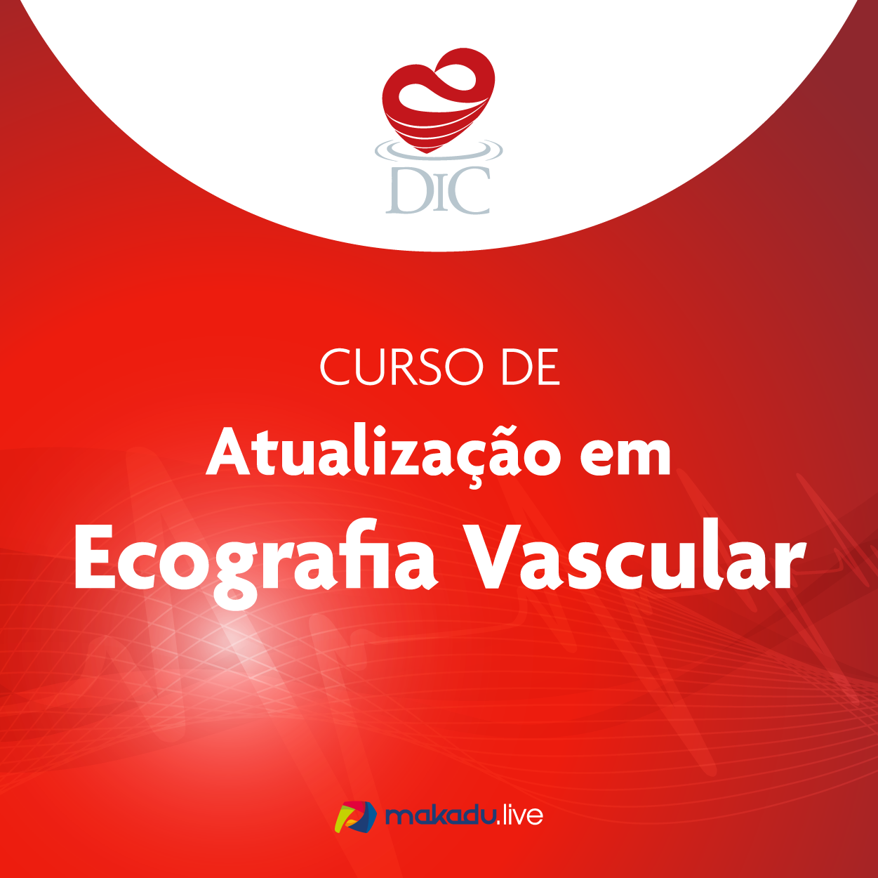 Assets Ecografia Vascular Dic 02