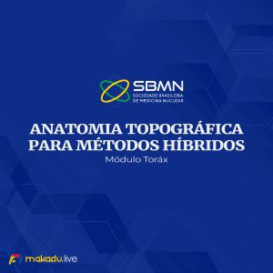 Assets-Anatomia Torax