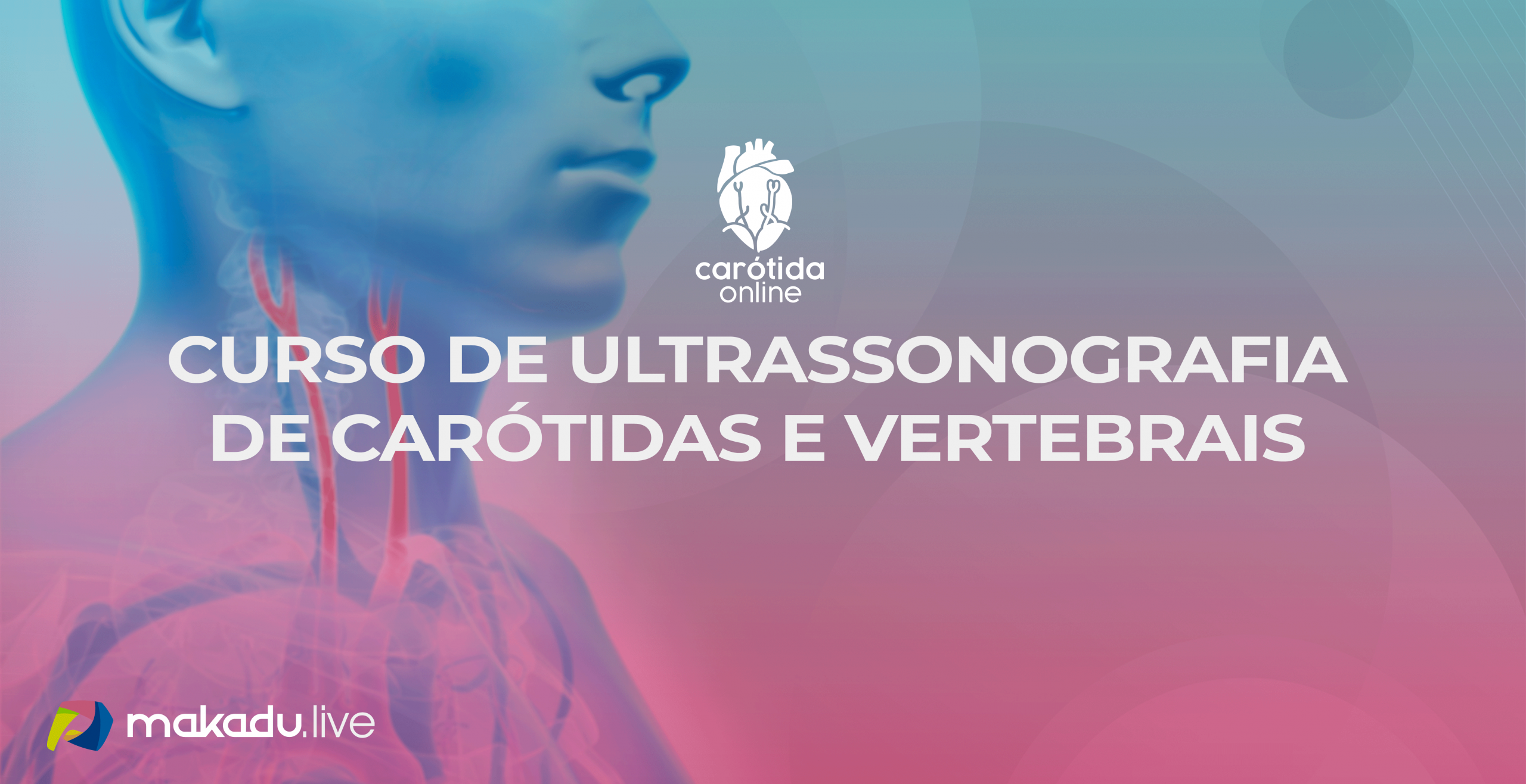 Curso de Ultrassonografia com Doppler de Carótidas
