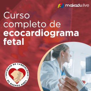 Assets Att Curso Completo De Ecocardiograma Fetalthumb