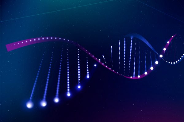 Dna Sbm 01 1 Rotated