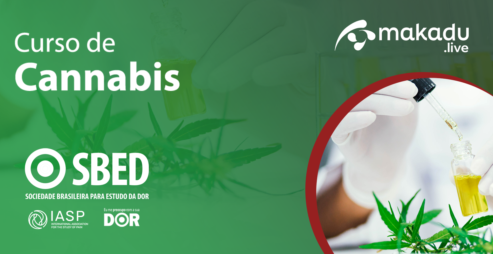 Conteúdo - Cursos Assets-Sbed---Curso-De-Canabinoide-E-Dor-Banner