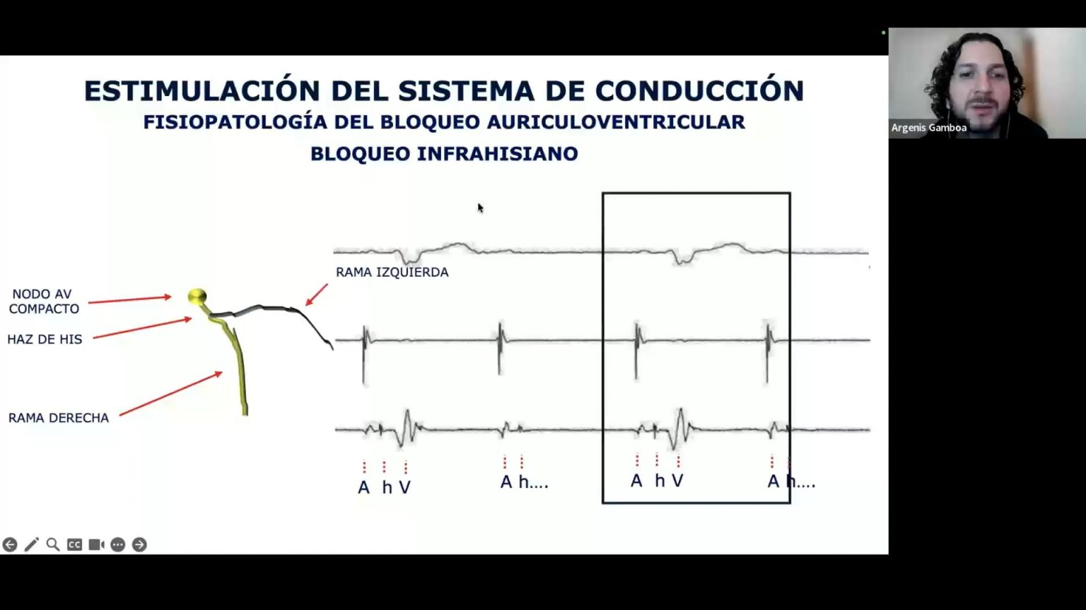 Thumb (27)