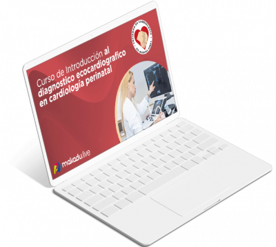 Assets-Att - Introducción Al Diagnostico Ecocardiografico En Cardiología Perinatal - Laptop