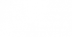 Albert-Einstein-Branco